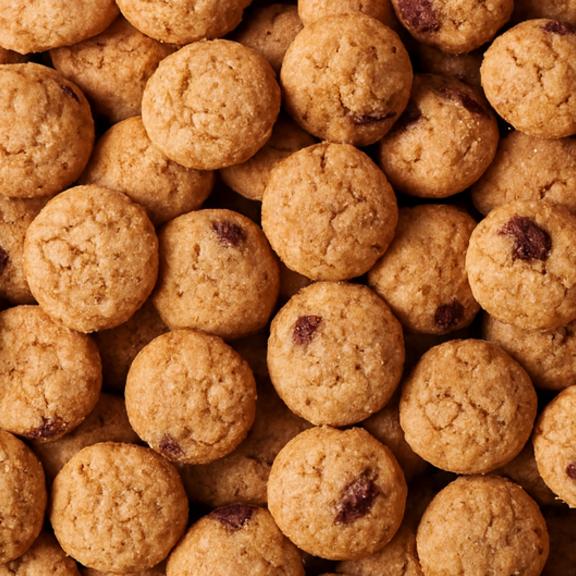Soft Baked Snickerdoodle