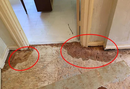 El olor vuelve desde el contrapiso